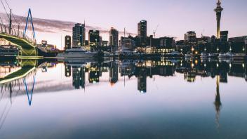 UC Davis Internship Abroad New Zealand-Psych, Photo Album, Header
