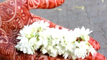 UC Davis Study Abroad, Internship Abroad India Program, Photo Album, Image 4