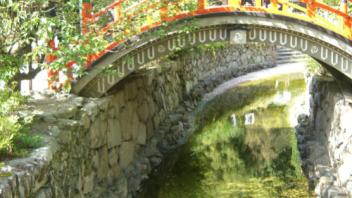 UC Davis Study Abroad, Summer Abroad Japan_Life Program, Photo Album, Image 1