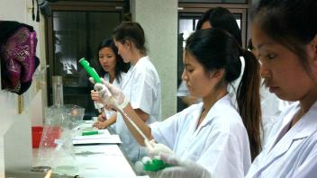 UC Davis Study Abroad, Summer Abroad Thailand Program, Photo Album, Image 2