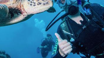 UC Davis Study Abroad, Internship Abroad Australia Program, Photo Album, Image 1