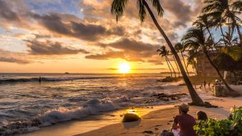 UC Davis Study Abroad, Internship Abroad Hawaii Program, Photo Album, Image 9