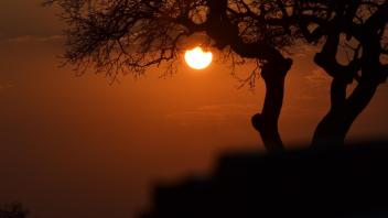 UC Davis Study Abroad, Summer Abroad South Africa Program, Photo Album, Image 5