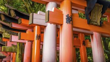 UC Davis Study Abroad, Quarter Abroad Japan Program, Photo Album, Image 12