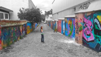 UC Davis Study Abroad, Quarter Abroad Mexico Program, Photo Album, Image 3