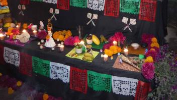 UC Davis Study Abroad, Quarter Abroad Mexico Program, Photo Album, Image 7