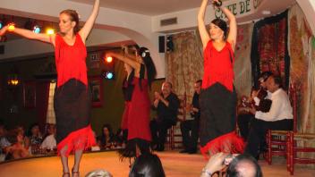 UC Davis Study Abroad, Quarter Abroad Spain Program, Photo Album, Image 8