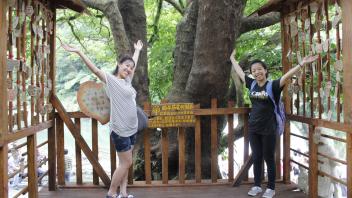 UC Davis Study Abroad, Quarter Abroad Taiwan Program, Photo Album, Image 2