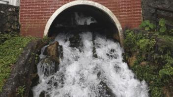 UC Davis Study Abroad, Quarter Abroad Taiwan Program, Photo Album, Image 3