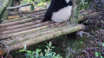 UC Davis Study Abroad, Summer Abroad China Program, Photo Album, Image 11