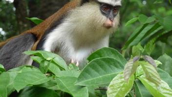 UC Davis Study Abroad, Internship Abroad Ghana Program, Photo Album, Image 5