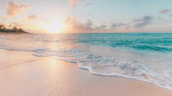 UC Davis Study Abroad, Internship Abroad Hawaii Education Program, Photo Album, Image 10