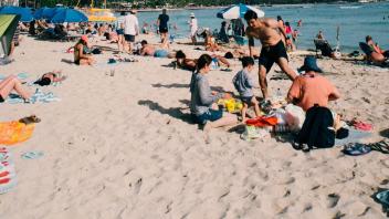 UC Davis Study Abroad, Internship Abroad Hawaii Education Program, Photo Album, Image 4