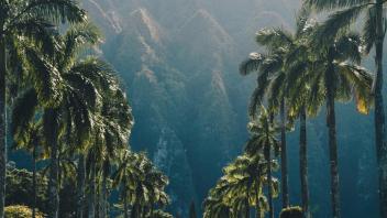 UC Davis Study Abroad, Internship Abroad Hawaii Education Program, Photo Album, Image 7