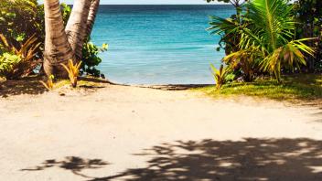 UC Davis Study Abroad, Internship Abroad Hawaii Education Program, Photo Album, Image 8
