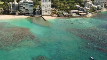 UC Davis Study Abroad, Internship Abroad Hawaii Education Program, Photo Album, Image 9