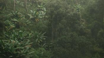 UC Davis Study Abroad, Summer Internship Abroad Thailand Education Program, Photo Album, Image 7