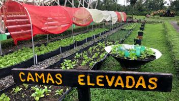 UC Davis Study Abroad, Summer Internship Costa Rica Program, Photo Album, Image 1