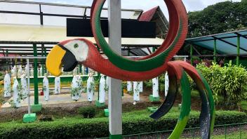 UC Davis Study Abroad, Summer Internship Costa Rica Program, Photo Album, Image 10