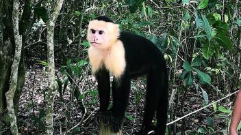 UC Davis Study Abroad, Summer Internship Costa Rica Program, Photo Album, Image 6