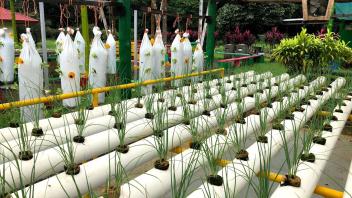 UC Davis Study Abroad, Summer Internship Costa Rica Program, Photo Album, Image 7