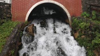 UC Davis Study Abroad, Summer Abroad Taiwan Program, Photo Album, Image 6