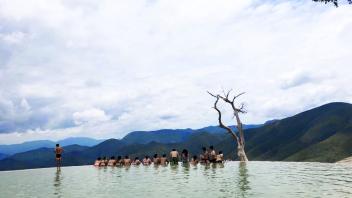 UC Davis Study Abroad, Quarter Abroad Mexico Program, Photo Album, Image 29