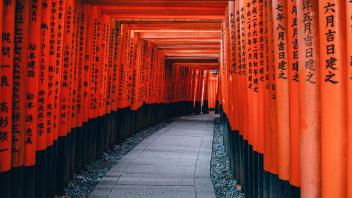 UC Davis Study Abroad, Summer Abroad Japan Program, Photo Album, Image 13