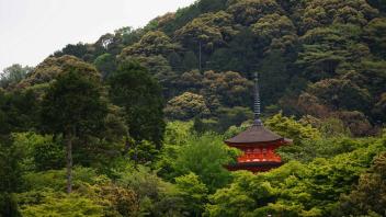 UC Davis Study Abroad, Summer Abroad Japan Program, Photo Album, Image 14