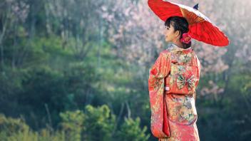 UC Davis Study Abroad, Summer Abroad Japan Program, Photo Album, Image 4