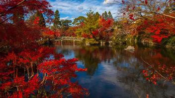 UC Davis Study Abroad, Summer Abroad Japan Program, Photo Album, Image 7