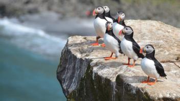 UC Davis Study Abroad, Summer Abroad Iceland Program, Photo Album, Image 14