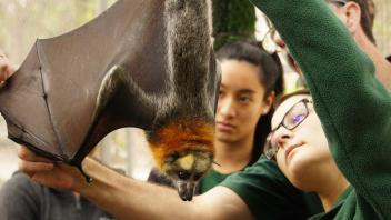 UC Davis Study Abroad, Summer Internship Australia Program, Photo Album, Image 8