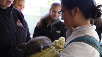 UC Davis Study Abroad, Summer Internship Australia Program, Photo Album, Image 12