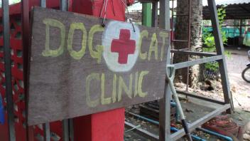 UC Davis Study Abroad, Internship Abroad Thailand Veterinary Medicine Program, Photo Album, Image 1