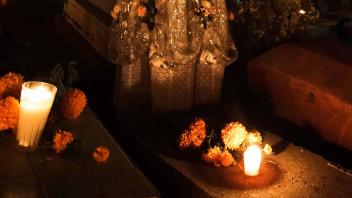 UC Davis Study Abroad, Quarter Abroad Mexico Program, Photo Album, Image 34