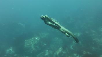 UC Davis Study Abroad, Summer Internships Abroad Ecuador Program, Photo Album, Image 2