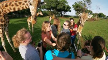 A group of students surrounding a small giraffe.