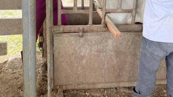 student on a farm in Belize