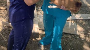 two students holding a small animal
