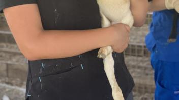 student holding a baby lamb