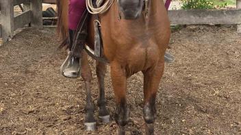 student riding a horse