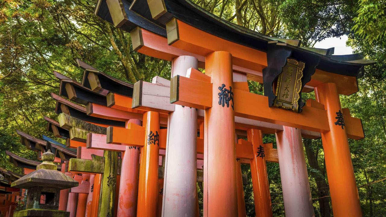 UC Davis Quarter Abroad Japan, Photo Album, Header