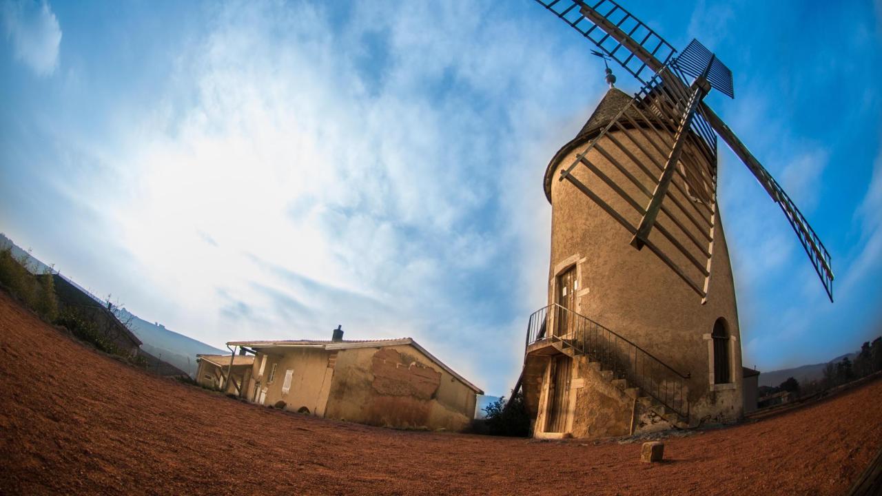UC Davis Summer Abroad France_Wine, Photo Album, Header