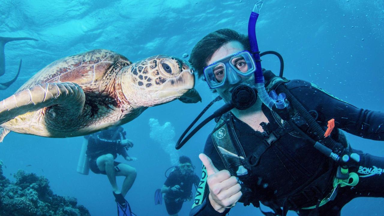 UC Davis Internship Abroad Australia, Photo Album, Header