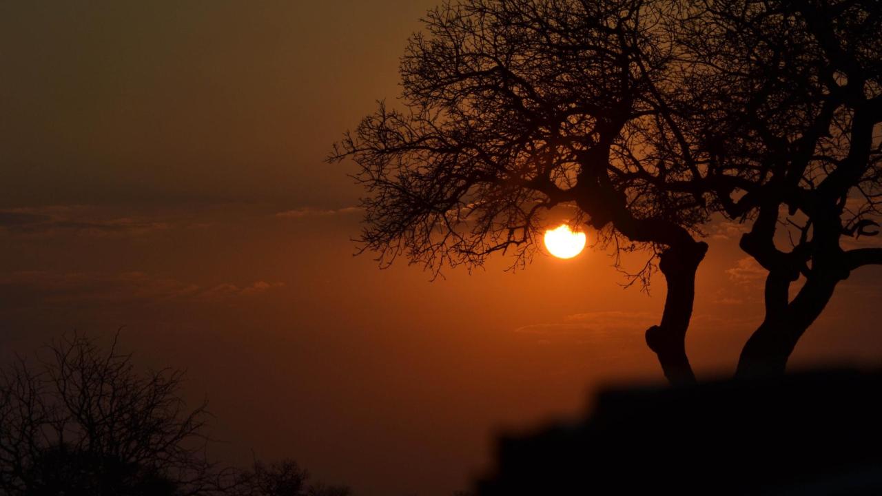 UC Davis Summer Abroad South Africa, Photo Album, Header