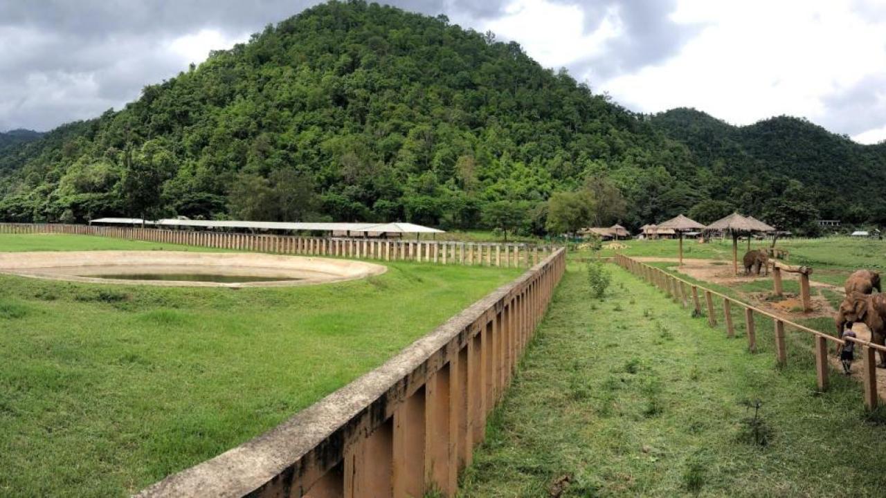 UC Davis Study Abroad, Internship Abroad Thailand Veterinary Medicine Program, Photo Album, Cover