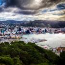 UC Davis Study Abroad, Summer Internship Abroad New Zealand, Business and Communication Program, Header Image