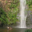 UC Davis Internship Abroad Ghana, Photo Album, Header