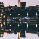 UC Davis Study Abroad, Summer Internship Abroad New Zealand, Psychology Program, Header Image